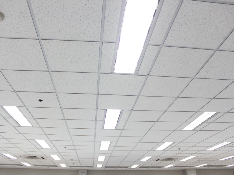 Acoustic Ceiling Washing Services Genesee County NY