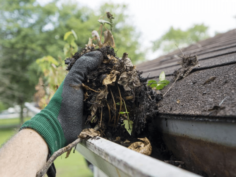 Gutter Clean Out Services Genesee County NY