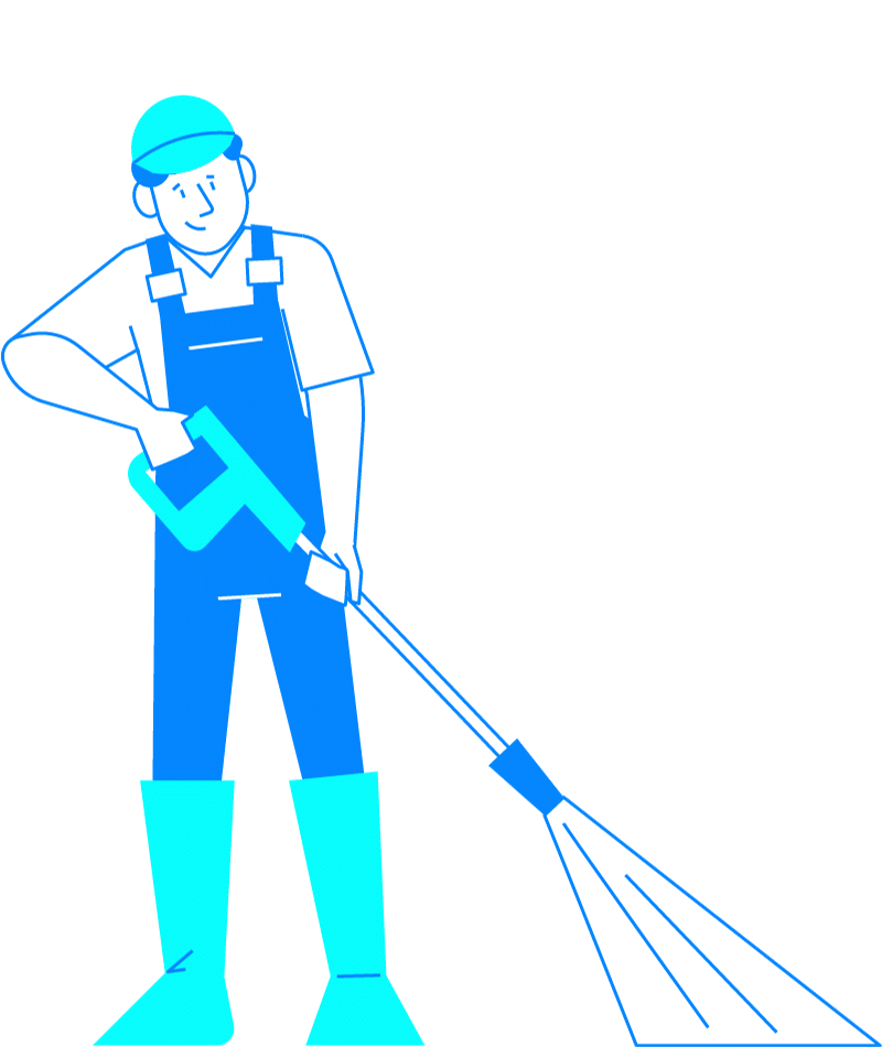 Soft Wash Pros LLC Genesee County, NY
